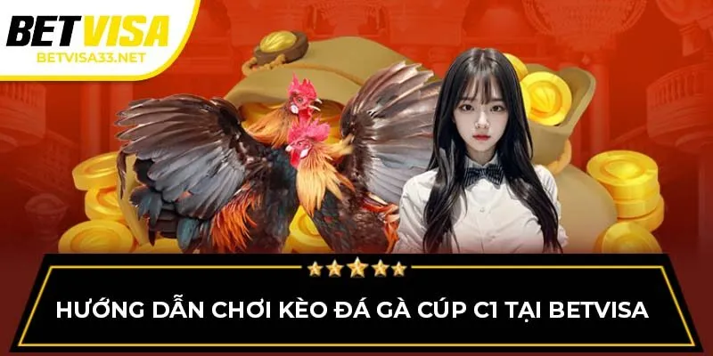 Hướng dẫn chơi kèo đá gà cúp C1 tại BETVISA