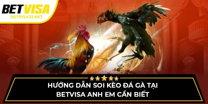 Hướng dẫn soi kèo đá gà tại BETVISA anh em cần biết