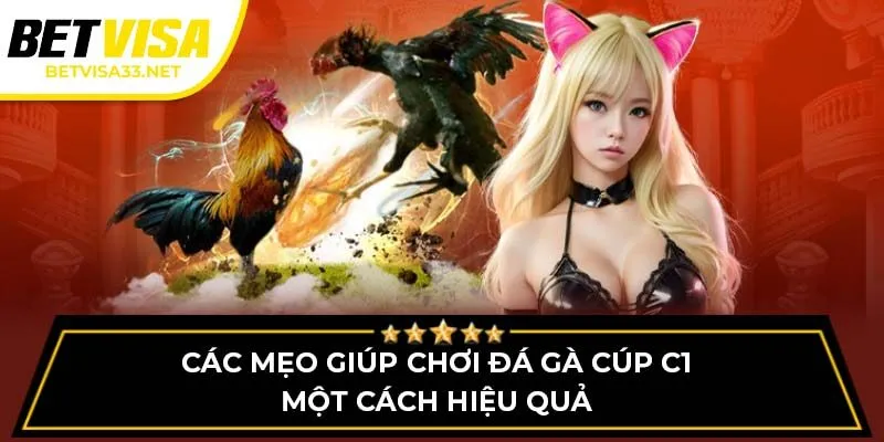 Các mẹo giúp chơi đá gà cúp C1 một cách hiệu quả