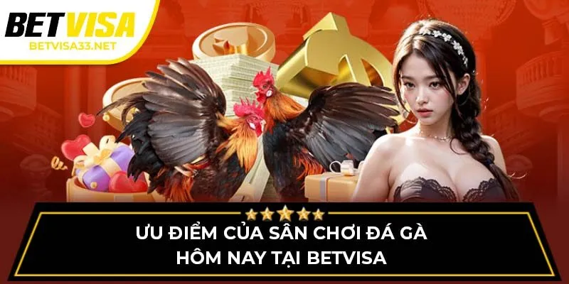 Ưu điểm của sân chơi đá gà hôm nay tại BETVISA