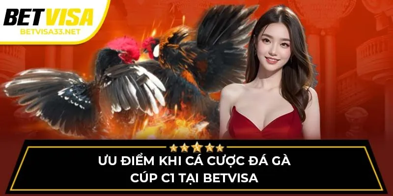 Ưu điểm khi cá cược đá gà cúp C1 tại BETVISA