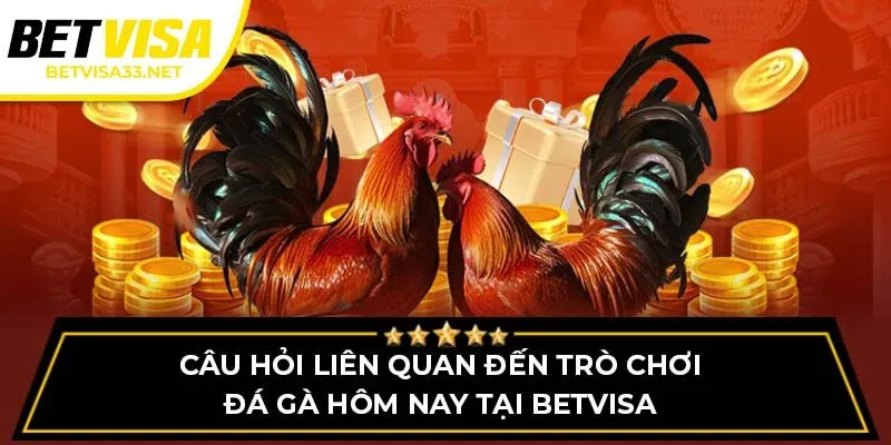 Câu hỏi liên quan đến trò chơi đá gà hôm nay tại BETVISA